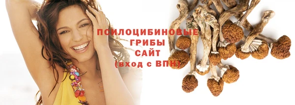 прущая мука Балахна