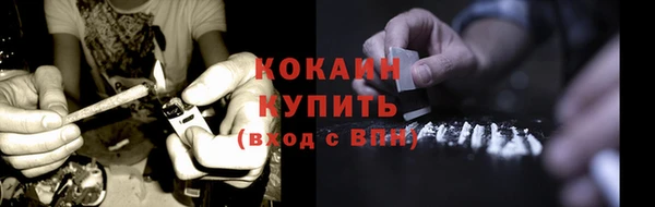 крисы Баксан