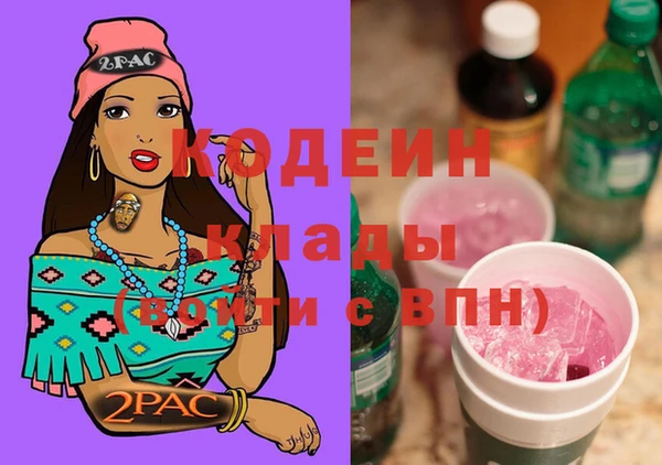 крисы Слюдянка