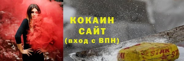 крисы Баксан