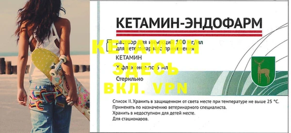 крисы Баксан