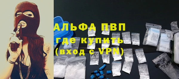 крисы Баксан